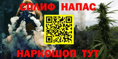 гидра Обнинск