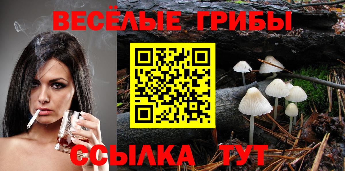 Ртищево  Галлюциногенные грибы мицелий  Вход с VPN 